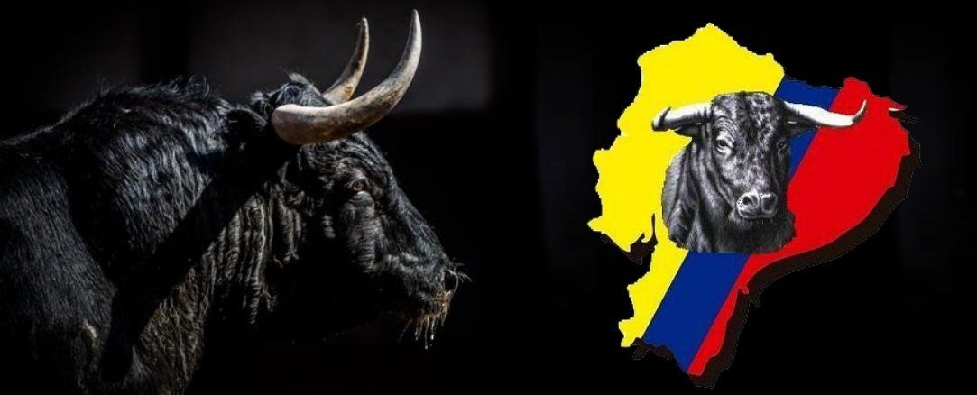 TOROS ECUADOR