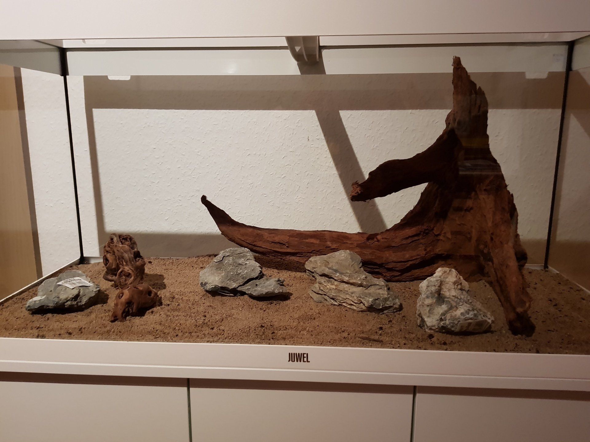 Teich-, Aquarien- und Gartenservice, Vera Bialek, Teichspezi, Mangroven Wurzel, Canyon Rock, Deponit Mix Professional, Juwel Aquarium Rio, weiß, Dennerle Wasserpflanzen, Easy Life, Eheim Außenfilter, Aquascaping, Neueinrichtung, Echinodorus, Chridtmasmoos, Cryptocorinen, Wasserkelch, In Vito,