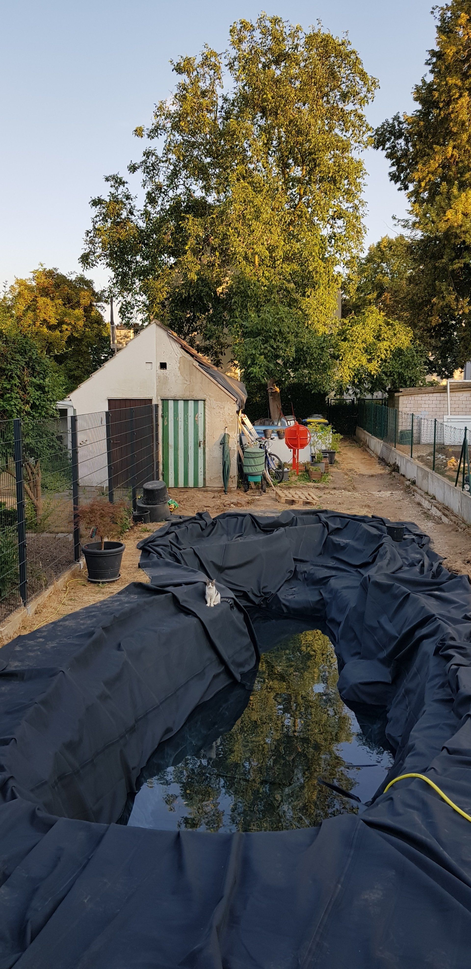 Teich-, Aquarien- und Gartenservice, Vera Bialek, Teichspezi, Erdaushub, Teichbau, Wassergarten, Folie verlegen, Wasseroase, Zierteich,