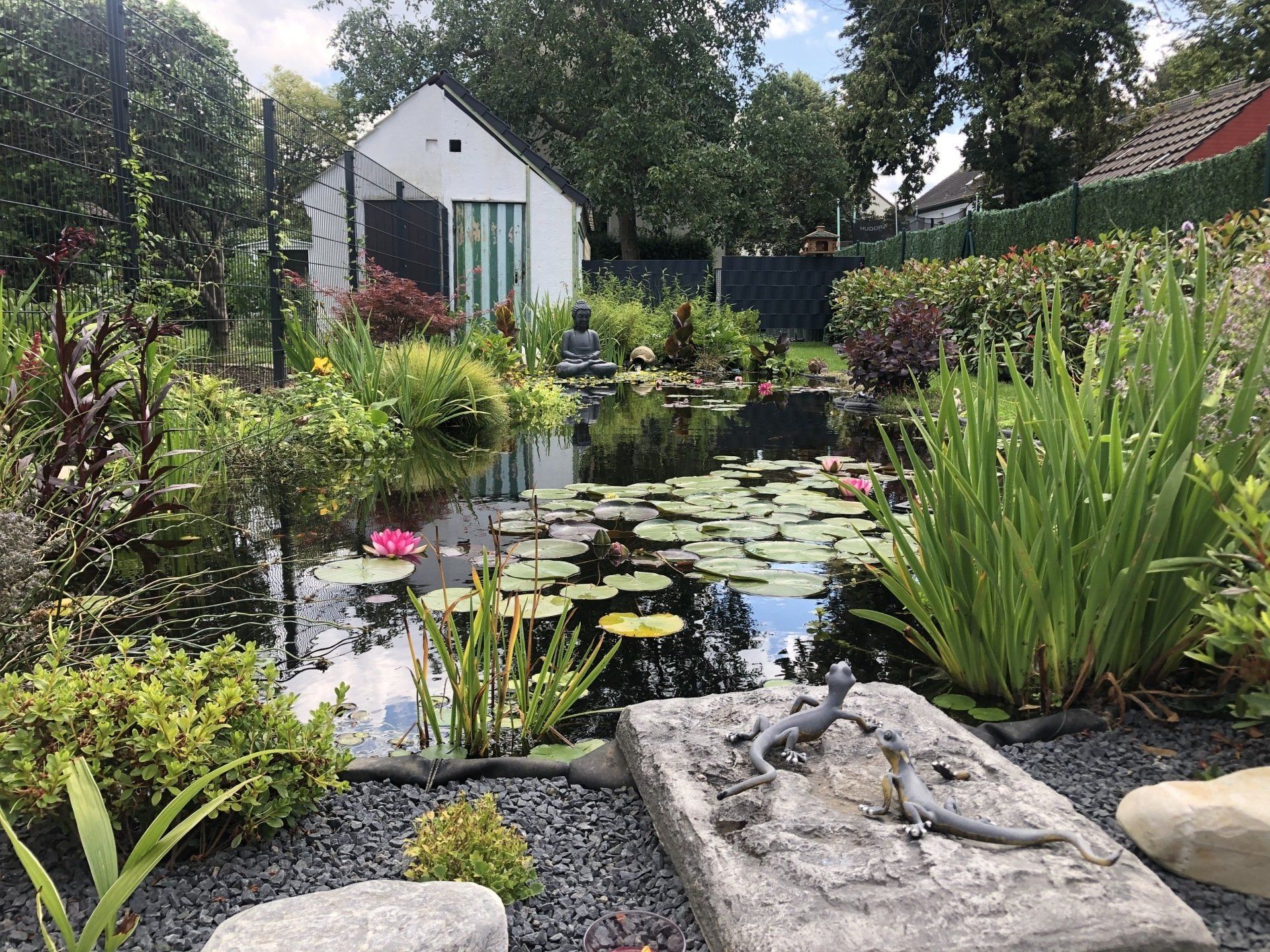 Teich-, Aquarien- und Gartenservice, Vera Bialek, Teichspezi, Erdaushub, Teichbau, Wassergarten, Seerosen, Wasserpflanzen, Teichrandbepflanzung, Stauden am Teich,