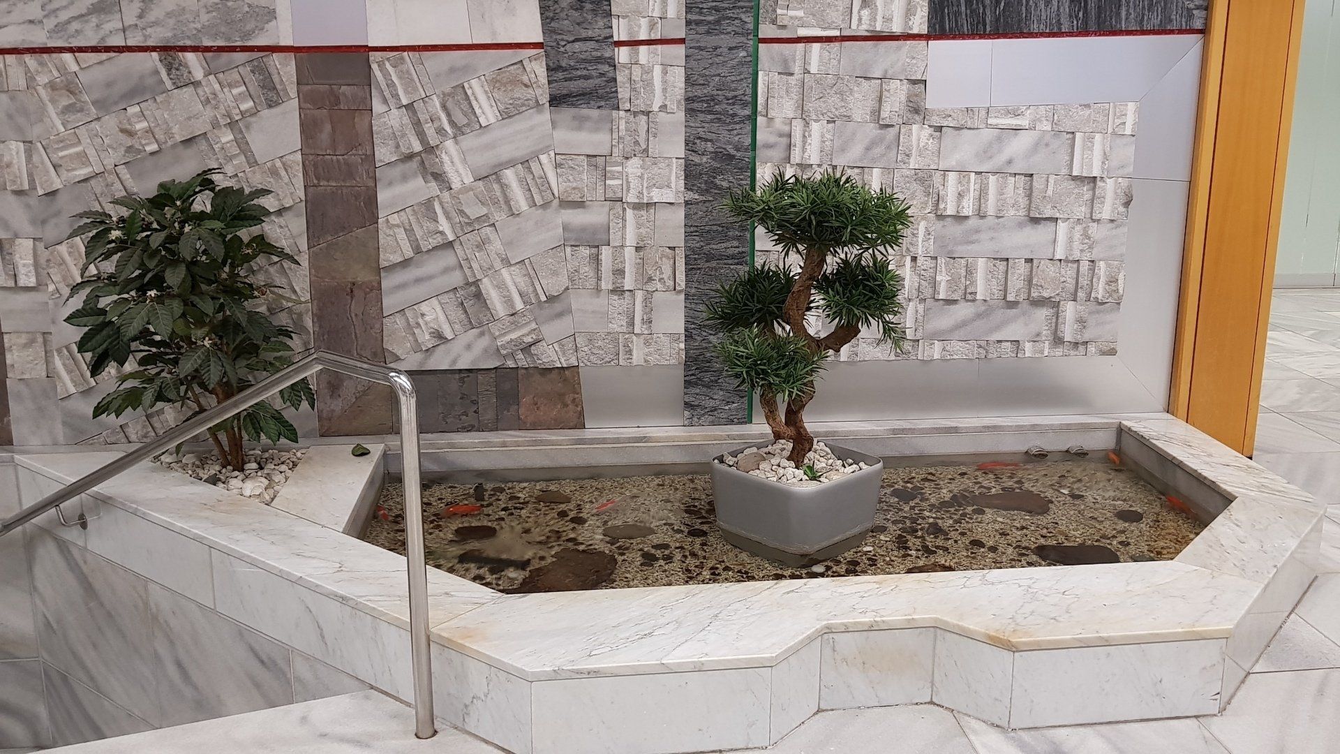 Teich-, Aquarien- und Gartenservice, Vera Bialek, Teichspezi, Teich Rückbau, Hochbeet, Kunstpflanzen,