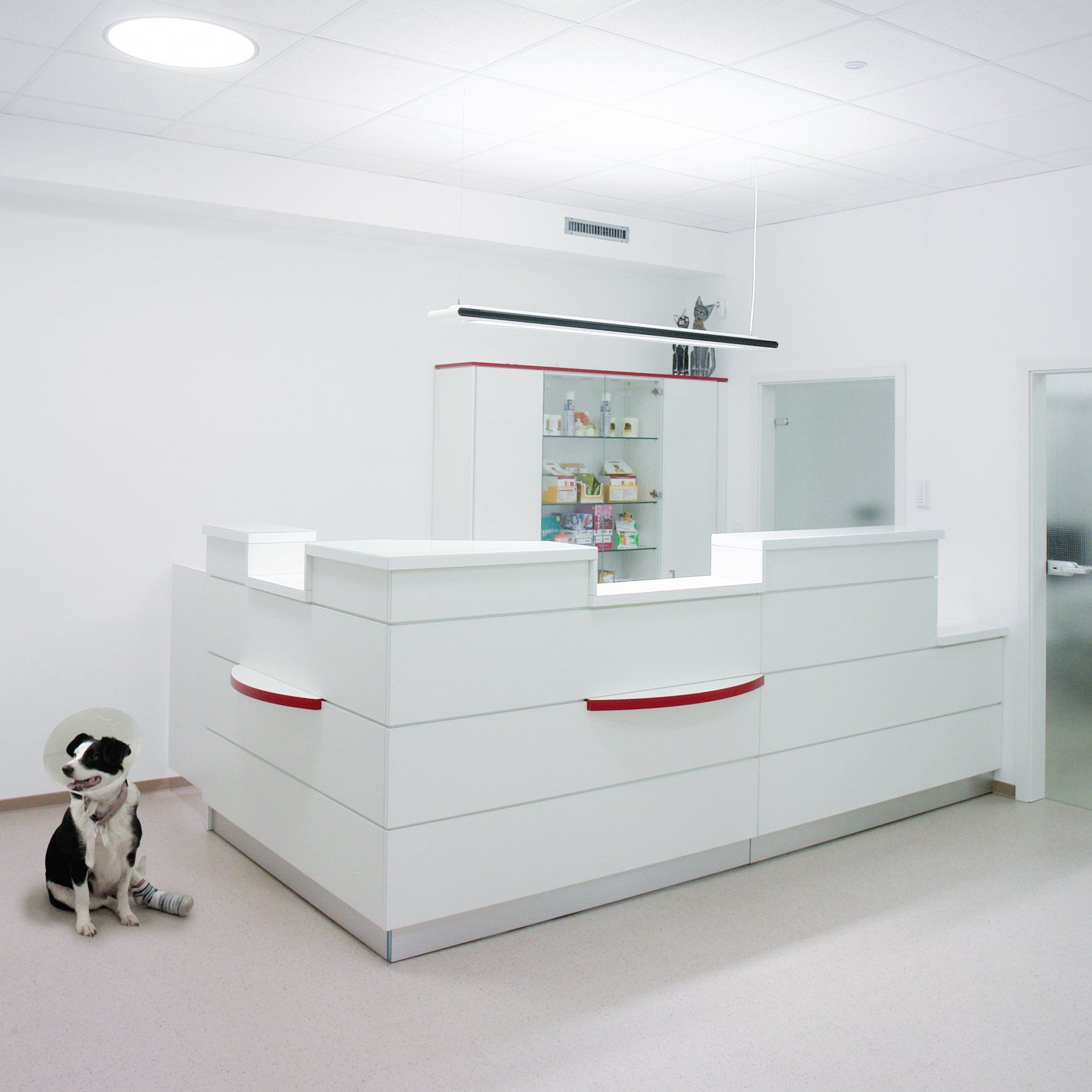 Empfangstresen einer Tierarztpraxis von ip20 Praxiseinrichtung nach Maß.