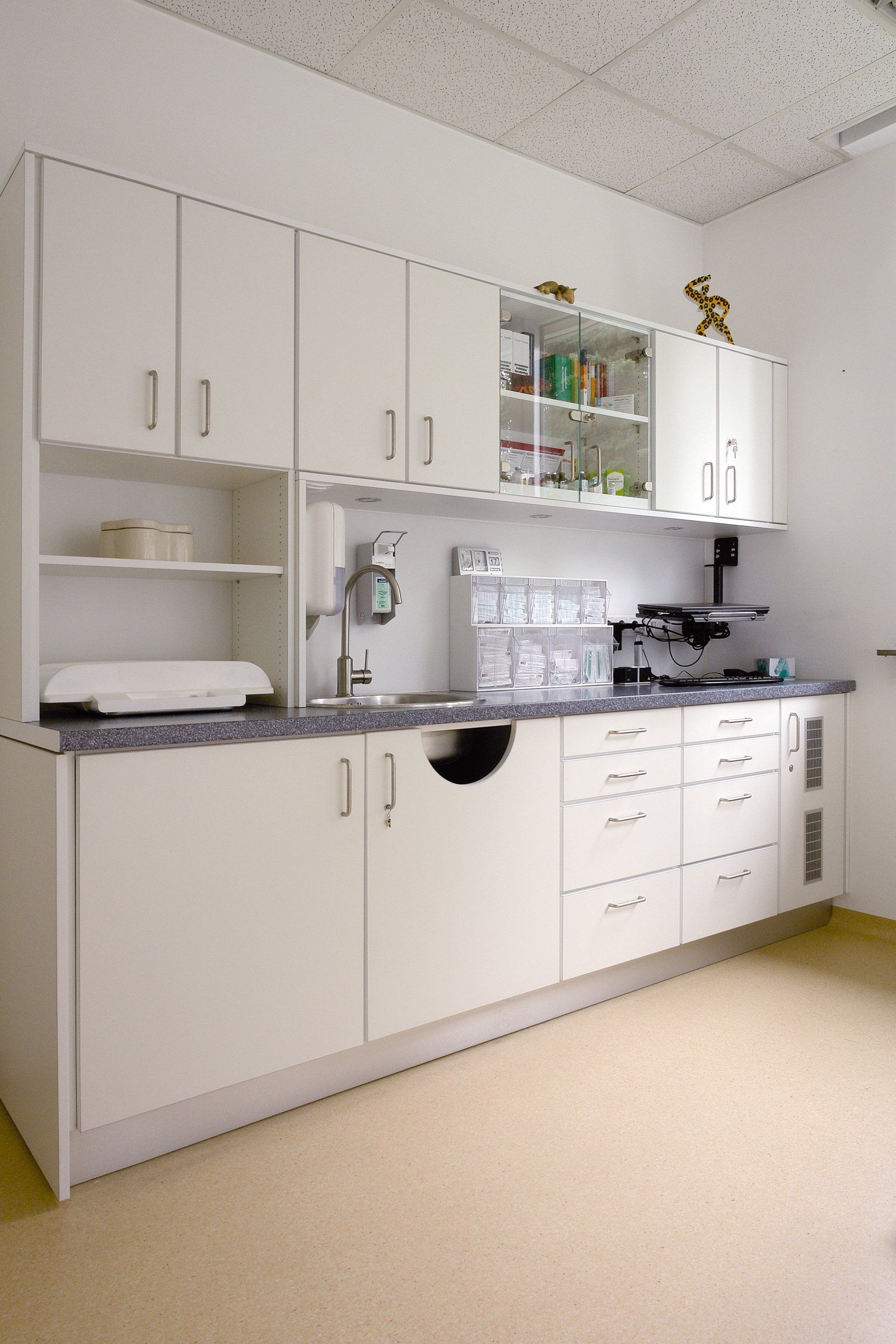 Behandlungszimmer einer Tierarztpraxis von ip20 Praxiseinrichtung nach Maß.