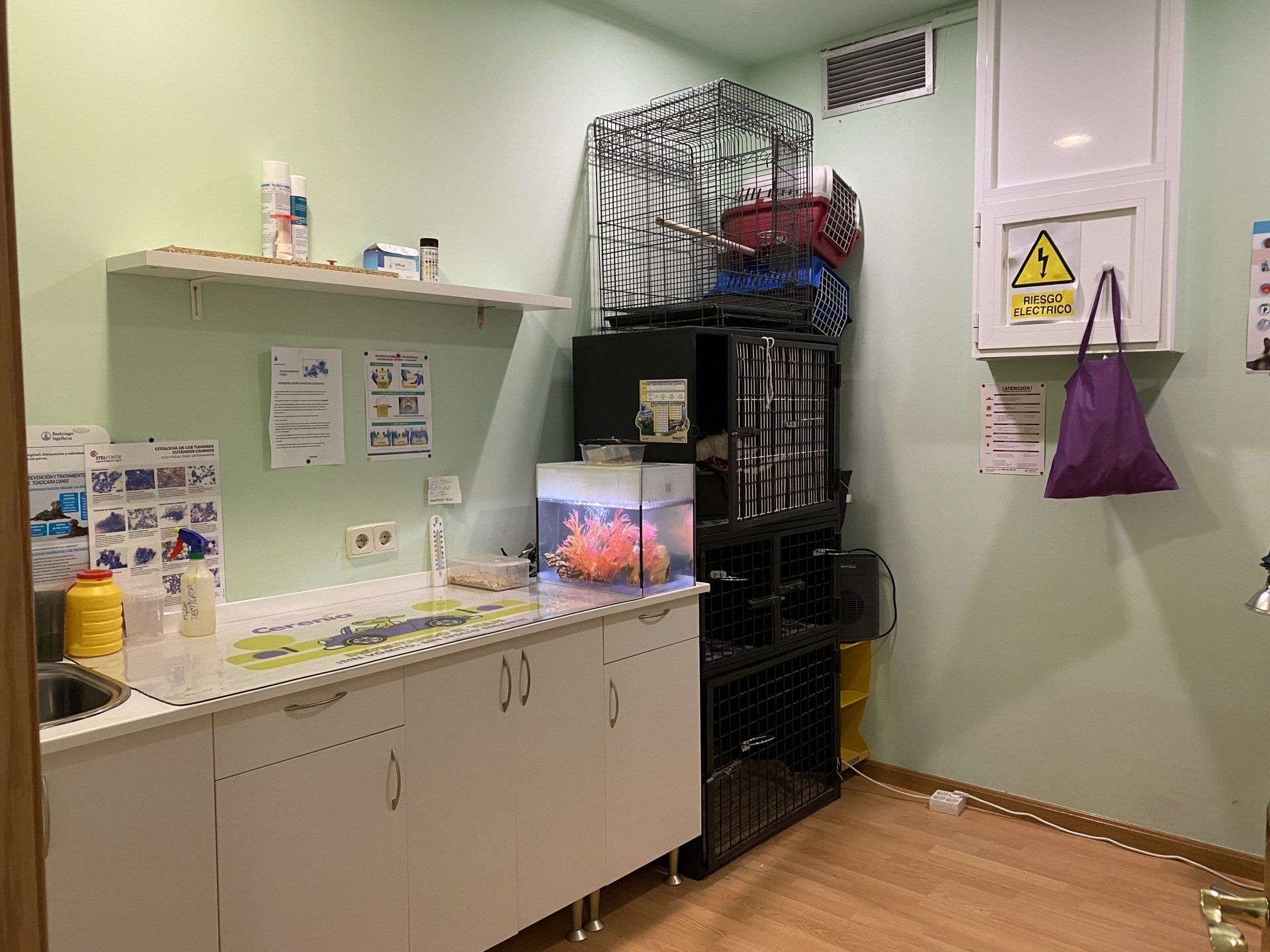 Espacio veterinario especializado en animales exóticos en Madrid para realizar diagnósticos.