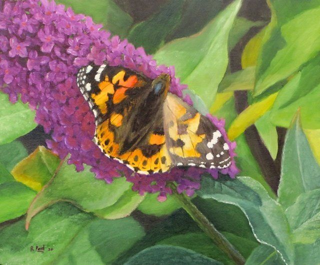 Painted Lady butterfly Painted Lady butterfly painted in oil by richard Paul