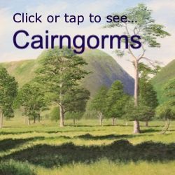 Cairngorms Cairngorms