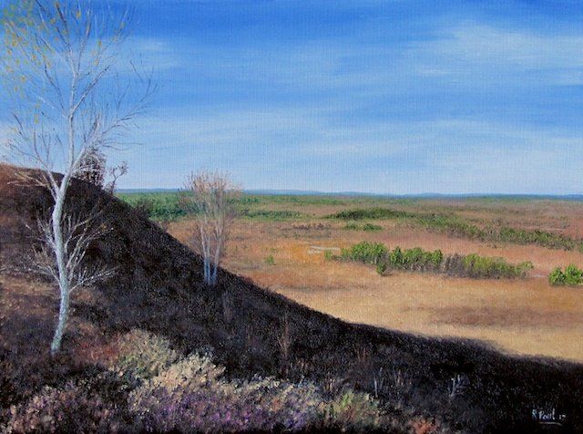 Town Common Town Common