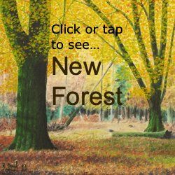 New Forest