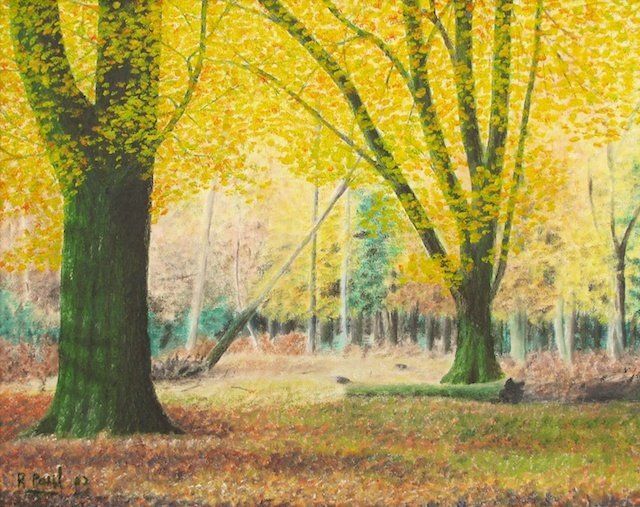 Forest autumn II