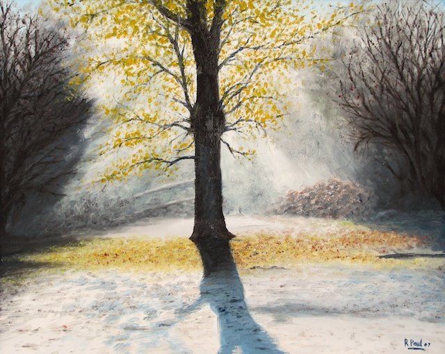 Frosty Glade Frosty Glade