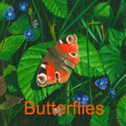 Butterflies