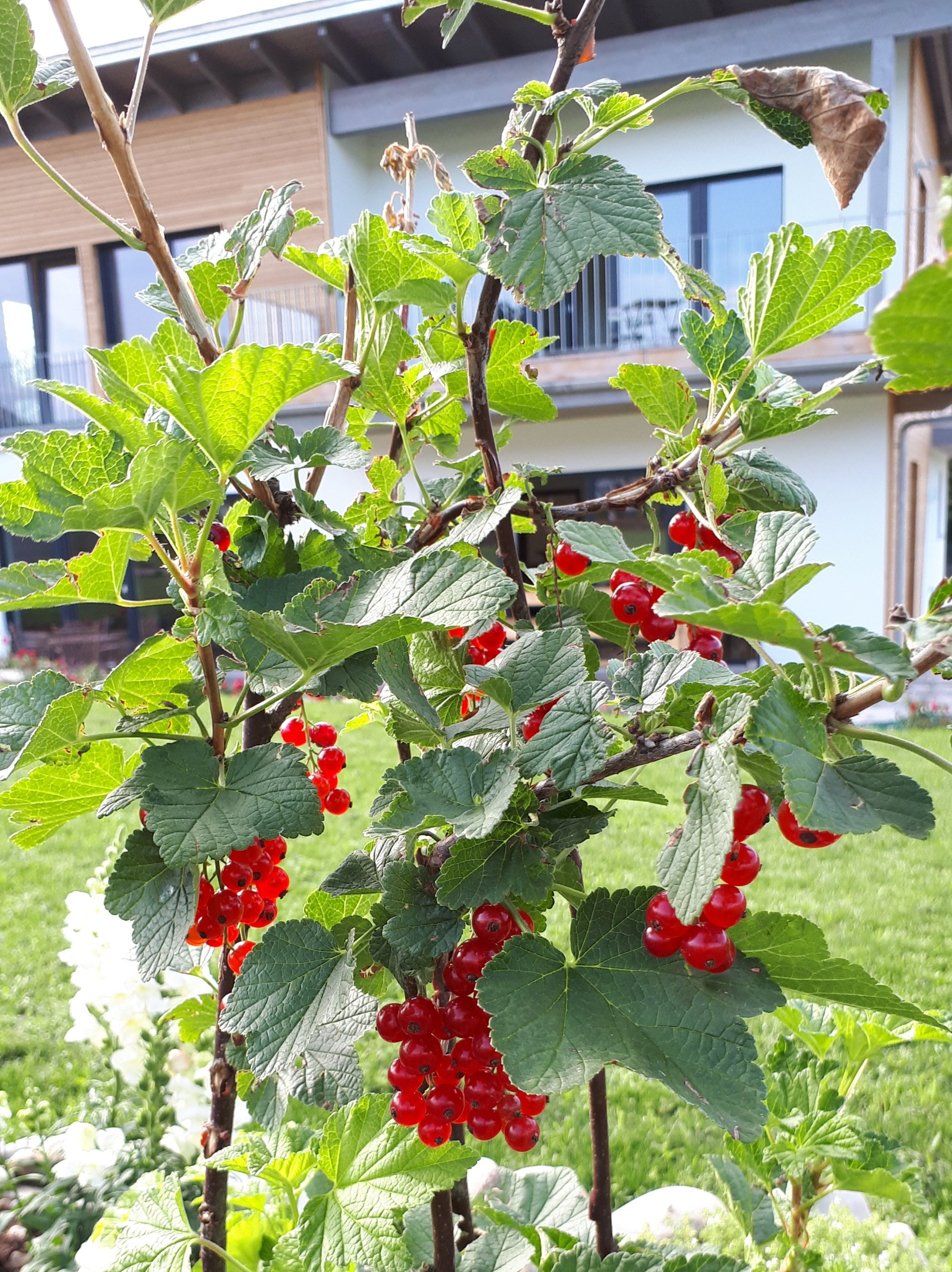Wir sorgen für gesunde Ernährung