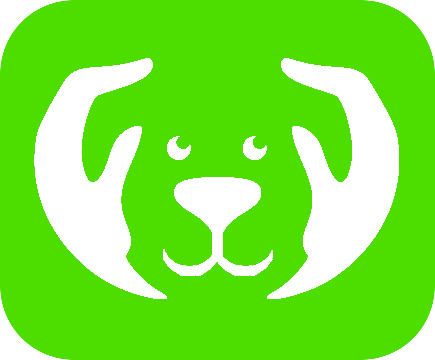 CARE4DOGS Hundebetreuung