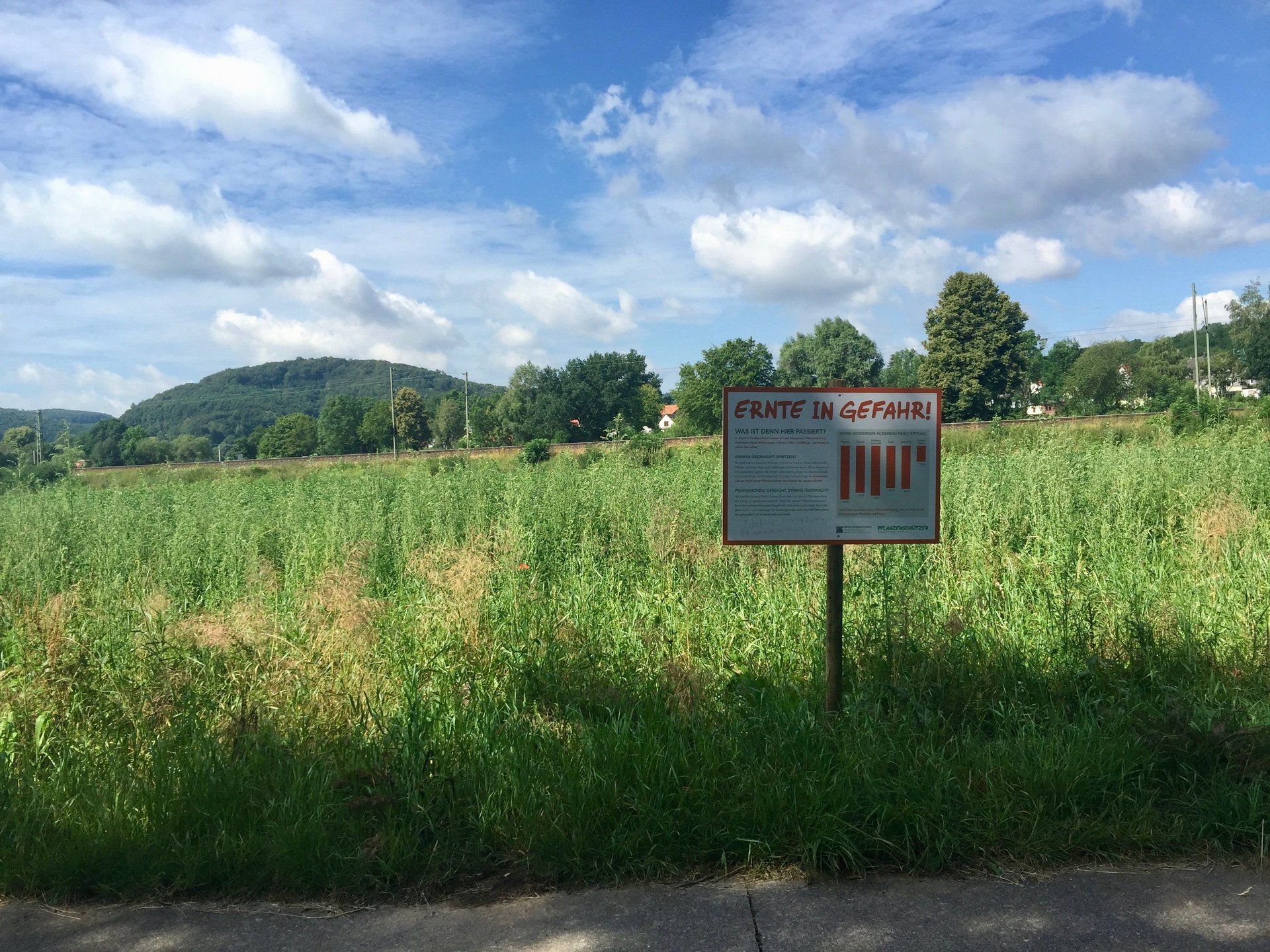 Versuchsparzelle