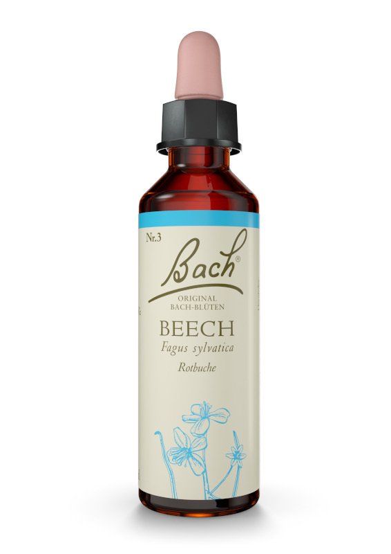 Bachbluete Nr. 3 Beech