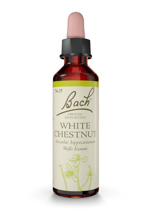 Bachblüte Nr. 35 White Chestnut