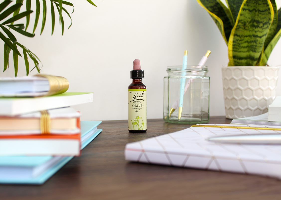 Bach®-Blüte Olive Nr. 23 auf Schreibtisch mit Notizbüchern