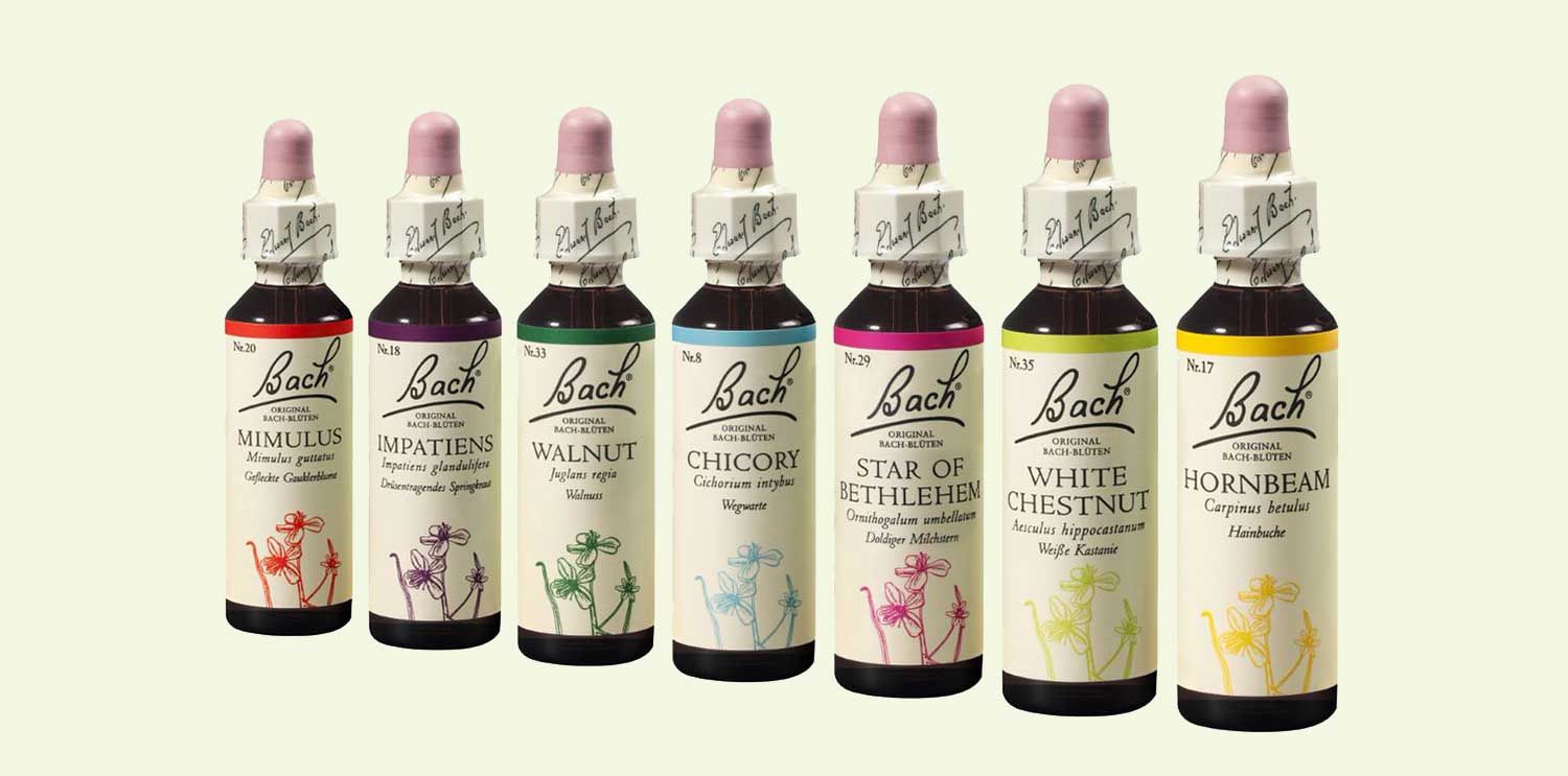 Sieben Original Bach®-Blüten jeweils aus einer Gefühlsgruppe