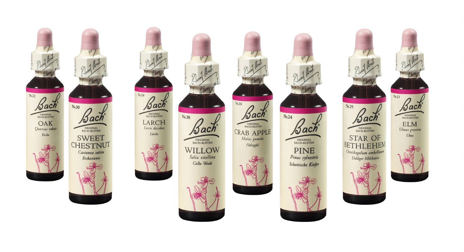 Bachblüten (pink), um Freude und Hoffnung zu finden (Oak, Sweet Chestnut, Larch, Willow, Crab Apple, Pine, Star of Bethlehem, Elm)
