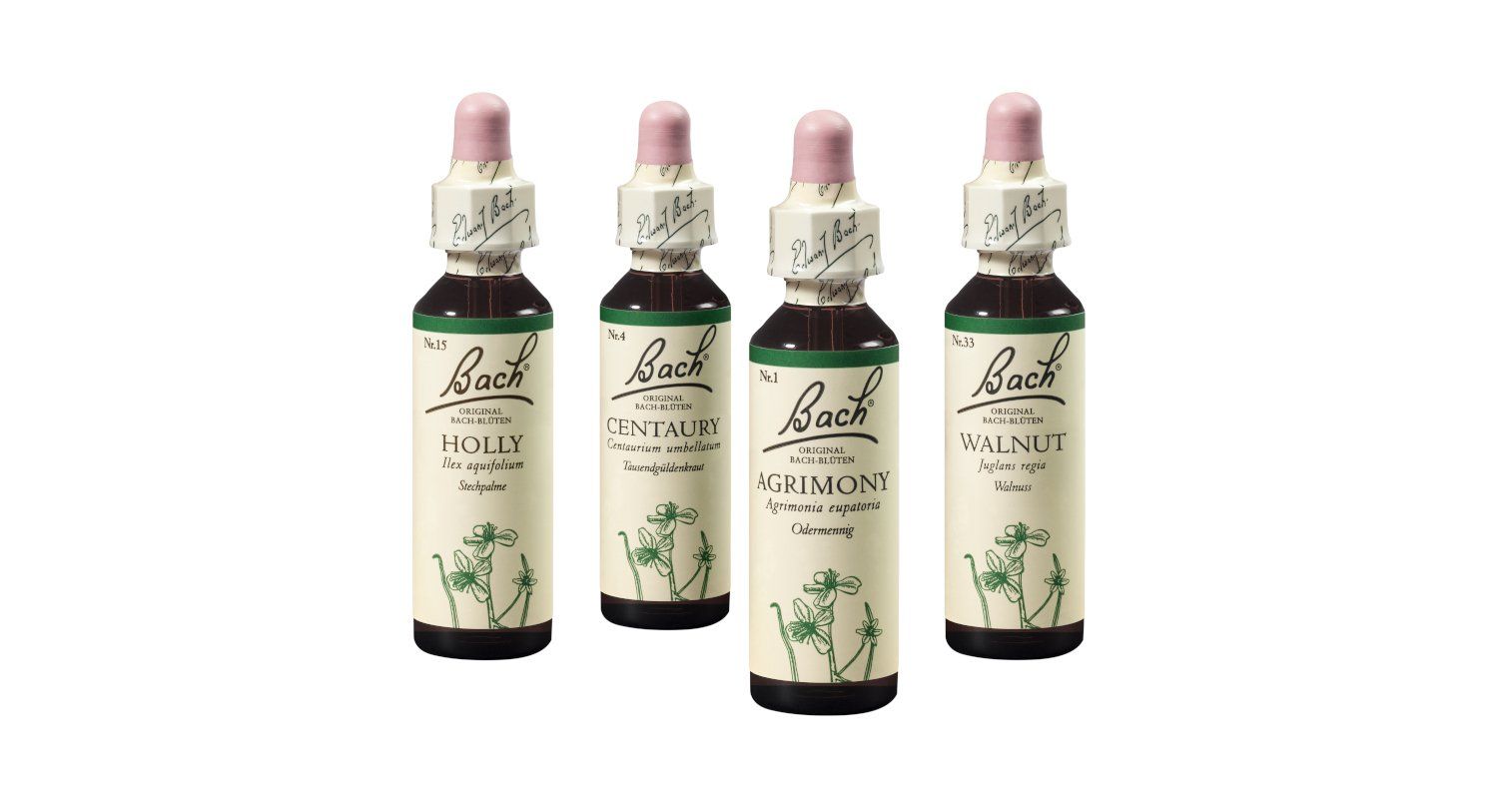 Bachblueten (grün), um zu sich selbst zu stehen (Holly, Centaury, Agrimony, Walnut)