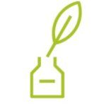 Grünes Glas mit Pflanze