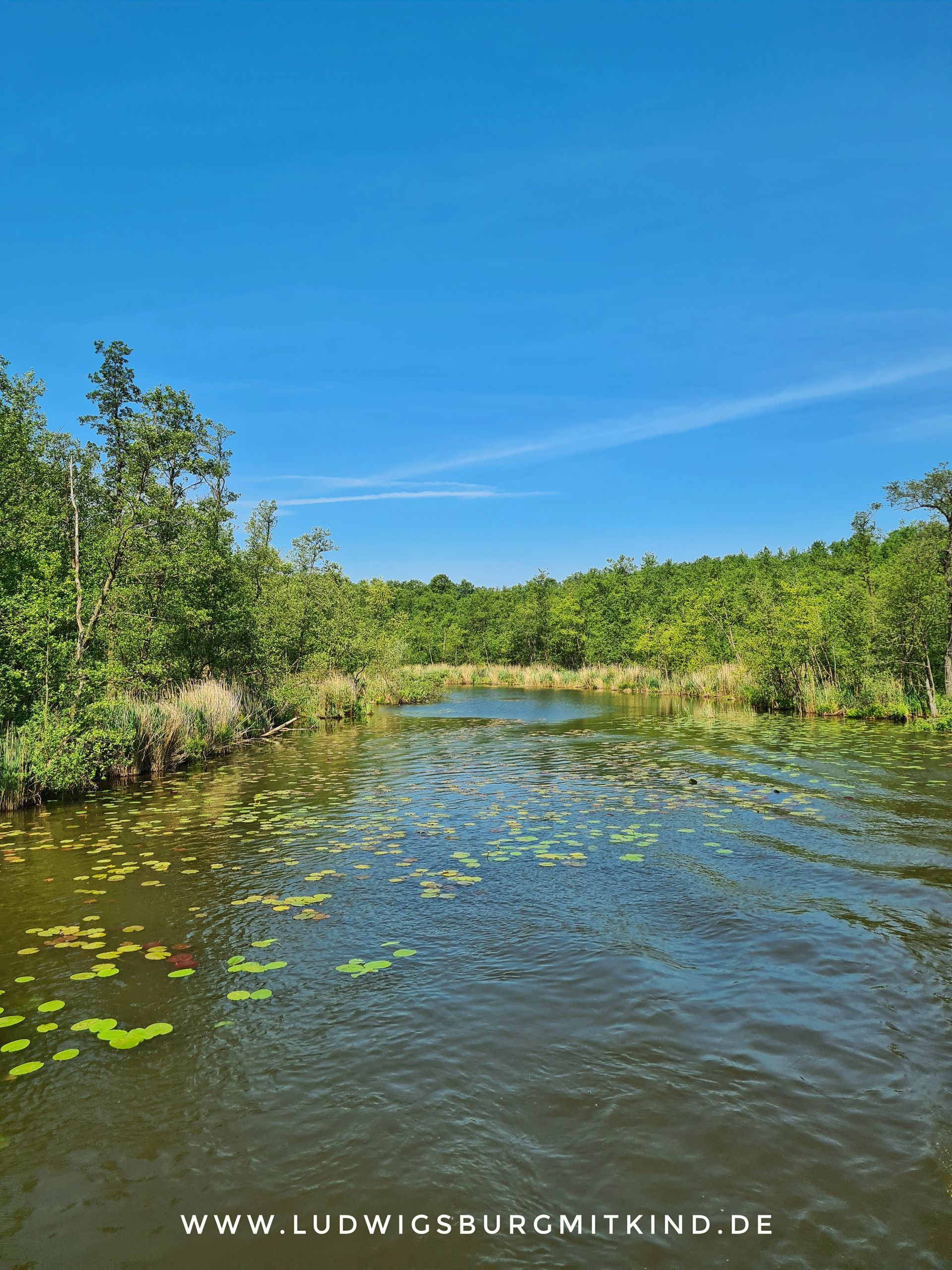 Hausbooturlaub Müritz Kuhnle Mecklenburgische Seenplatte Deutschland