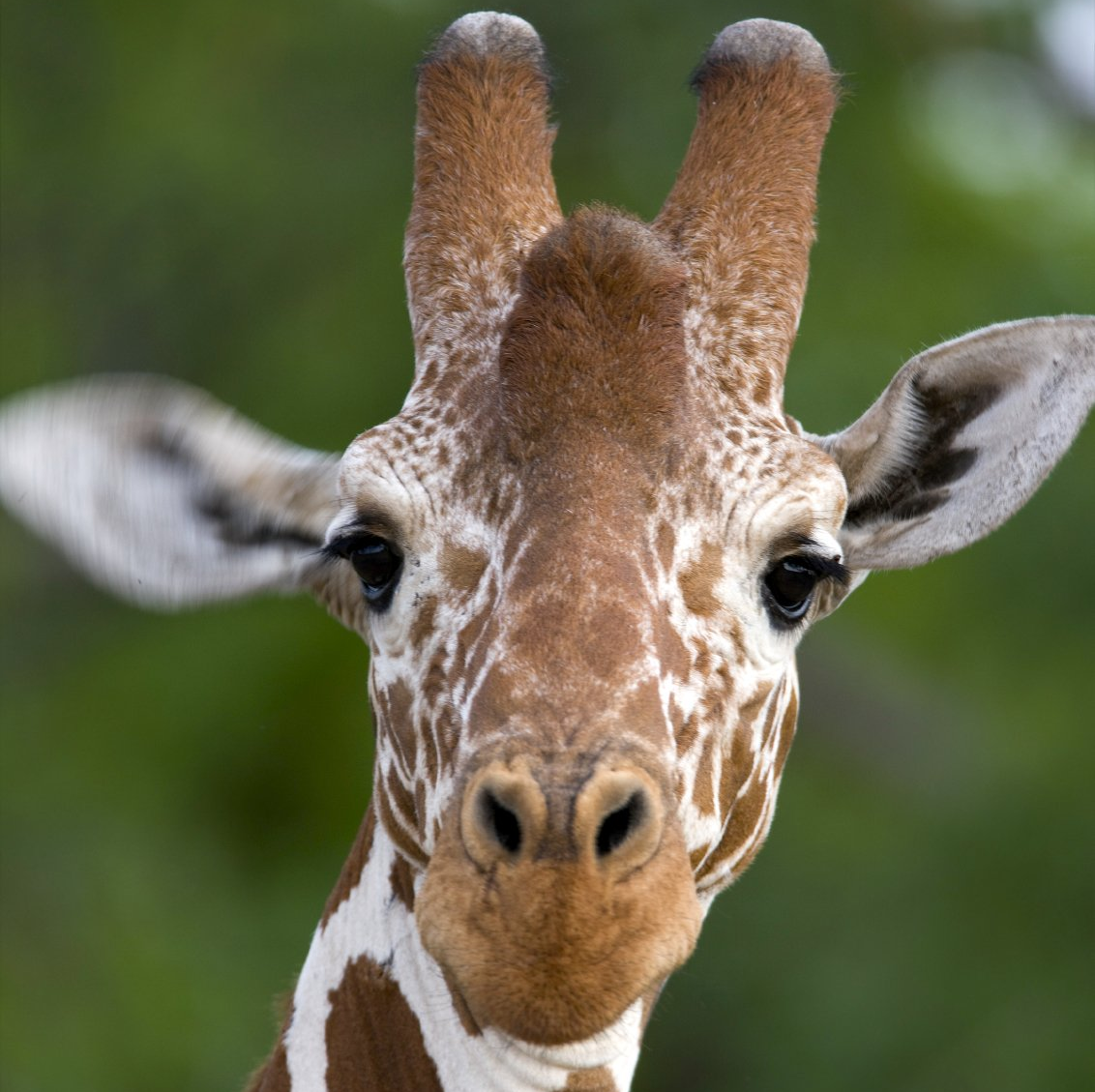 Wihelma Stuttgart, Ausflugsziel für Familien