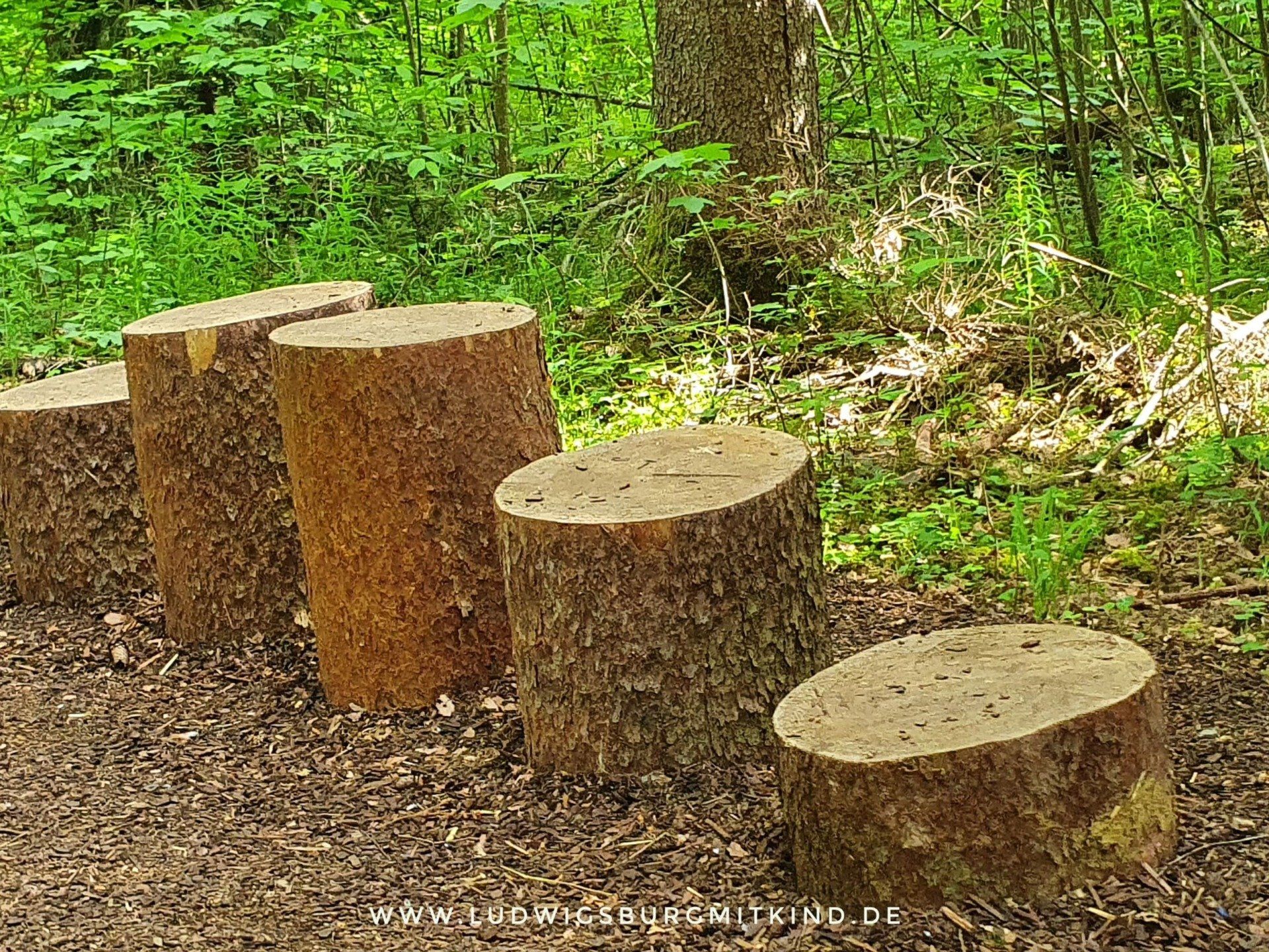 KLetterstation auf dem Barfußpark in Dornstetten im Schwarzwald