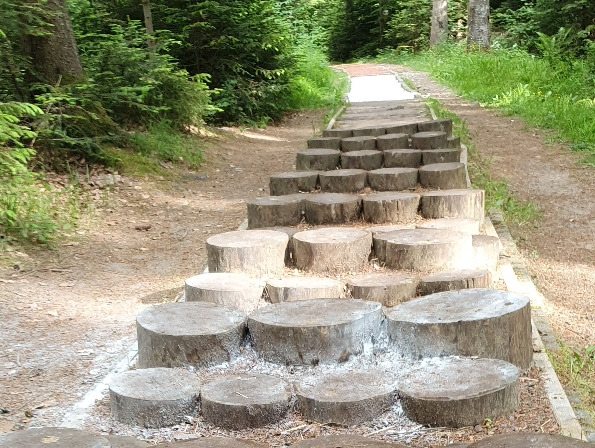 Balancierstation auf dem Barfußpark in Dornstetten im Schwarzwald