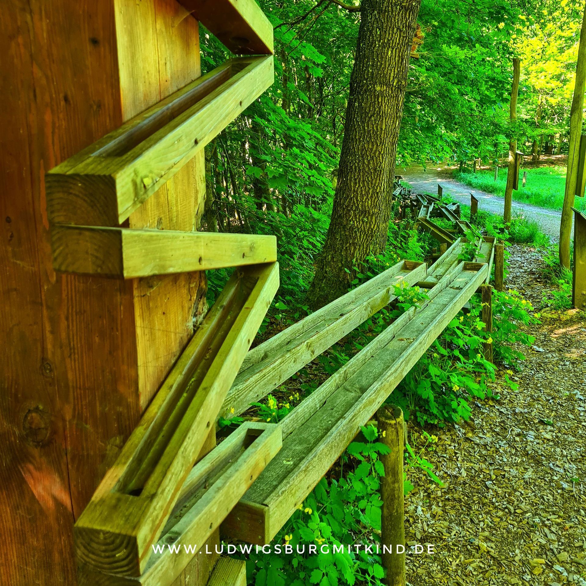 WaldWunderWeg, Kugelbahn Ostalb