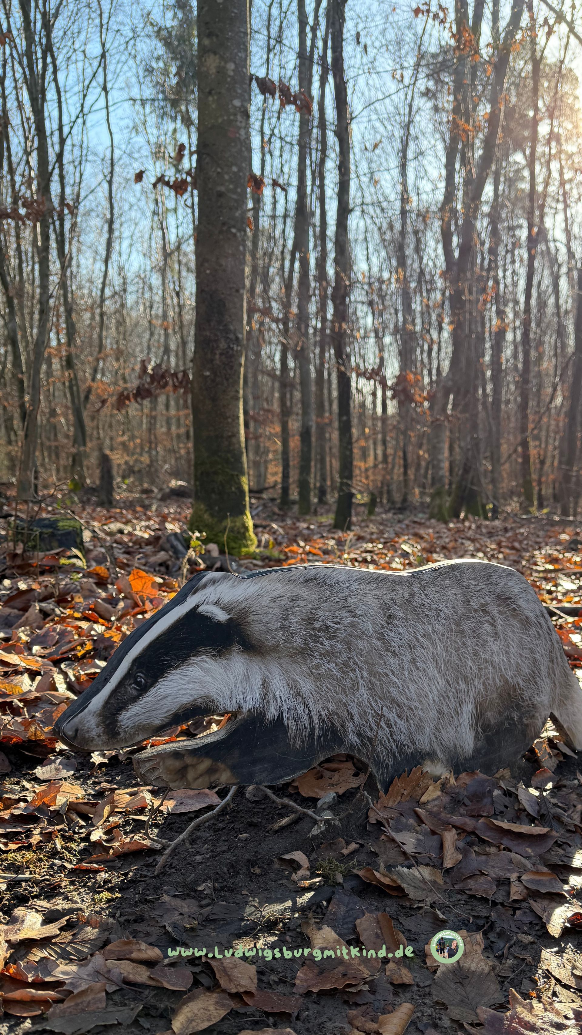 alternative zu Indoor-spielplätzen