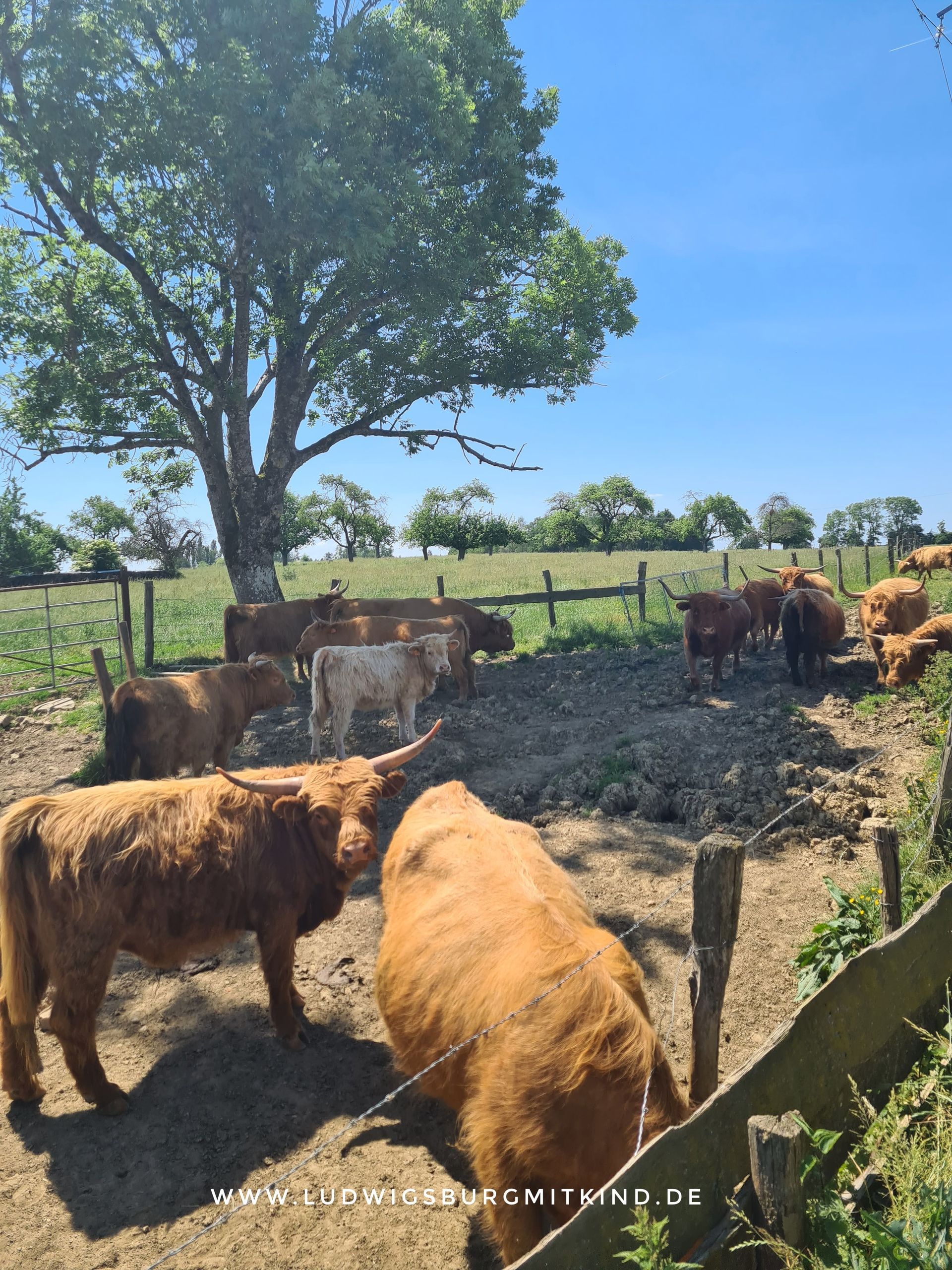 Die Strecke ist nicht besonders anspruchsvoll, doch wer zum ersten Mal Hausboot fährt, sammelt hier Fahrpraxis. Wenn das Steuern bereits gut klappt, können die Kinder unter der Aufsicht der Eltern ein wenig das Steuer übernehmen.