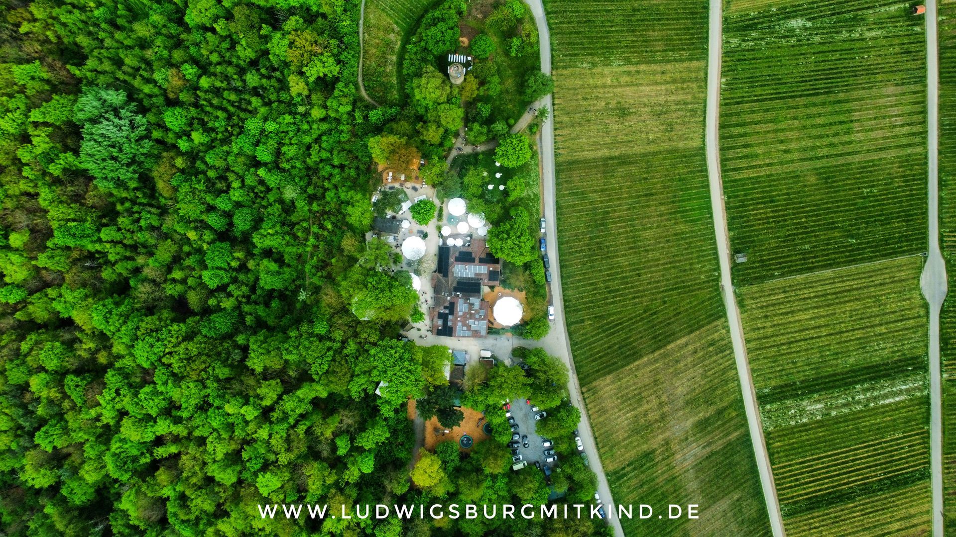 Familienausflugsziel Heuchelberger Warte bei Heilbronn mit Walderlebnispfad