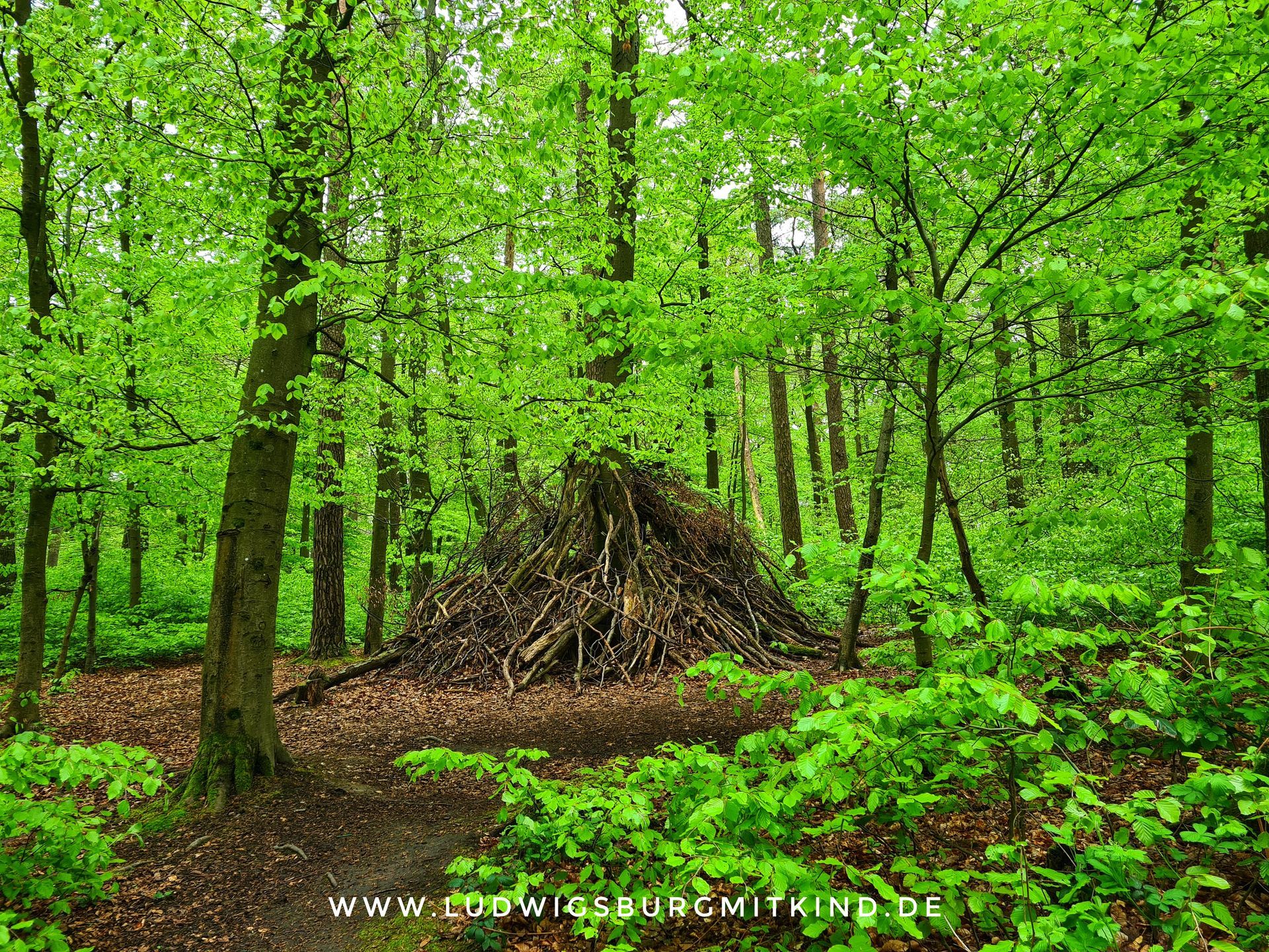 Familienausflugsziel Heuchelberger Warte bei Heilbronn mit Walderlebnispfad