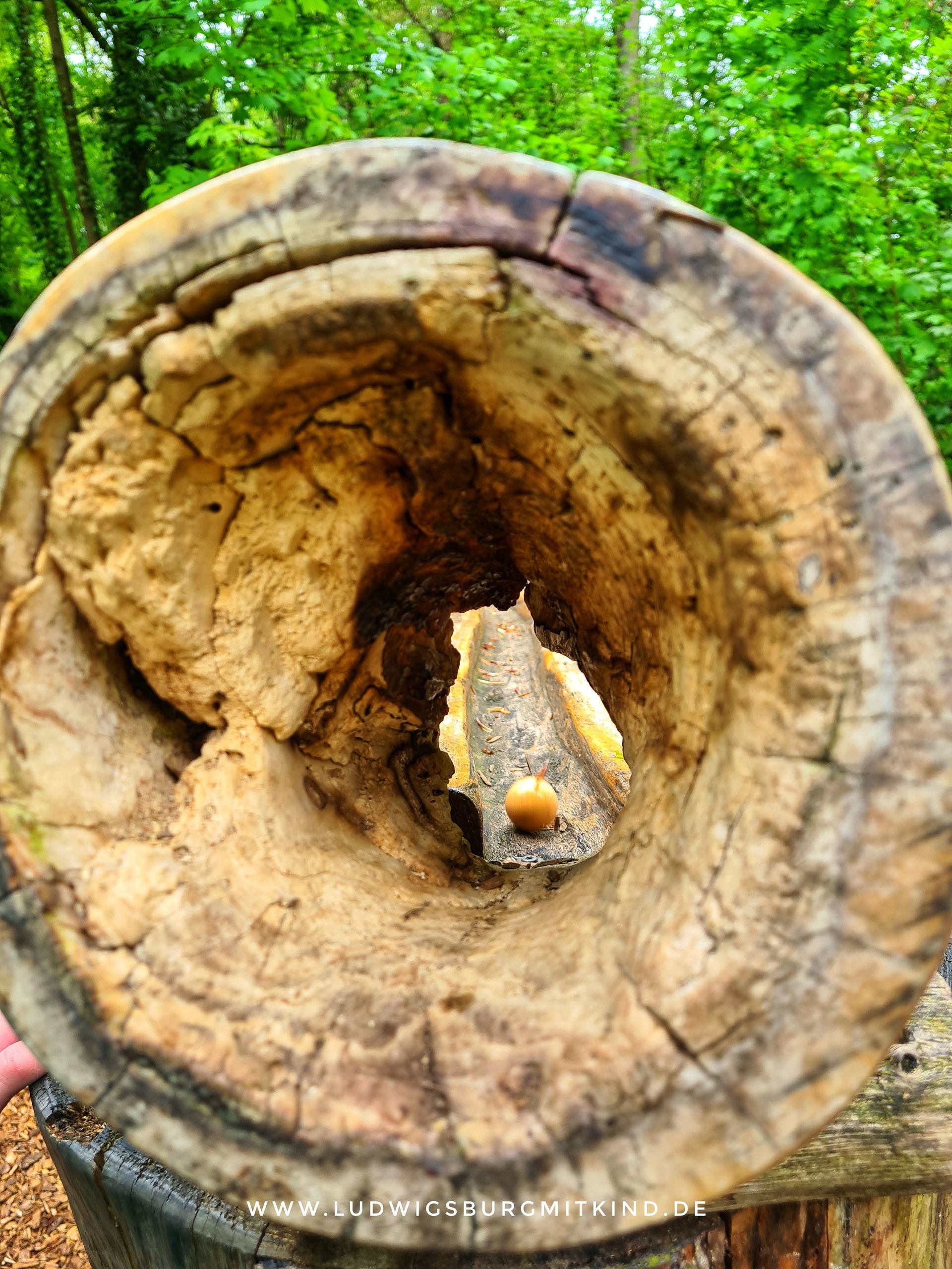 Familienausflugsziel Heuchelberger Warte bei Heilbronn mit Walderlebnispfad