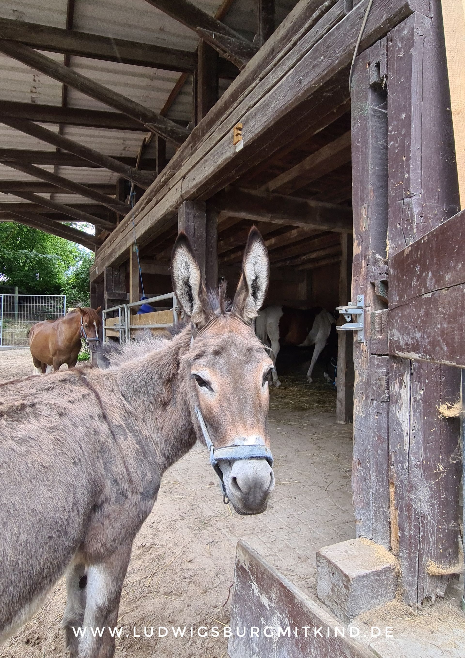 Jugendfarm Ludwigsburg Kinder und Familien Ausflugsziel