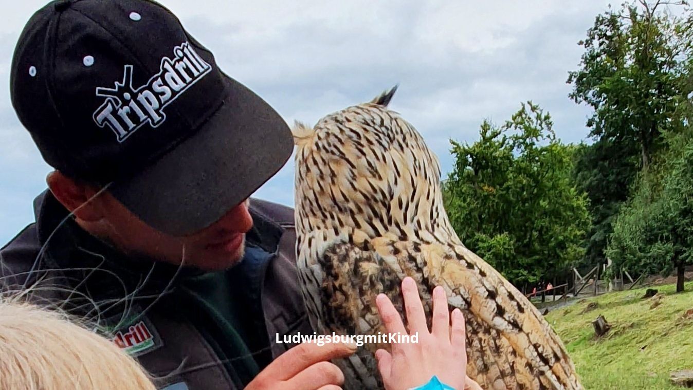 Kindergeburtstag im Wildparadies Tripsdrill