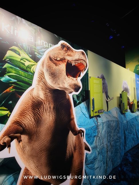 Familienausflug in die KLIMA ARENA Sinsheim: 
Bildung trifft Erlebnis 
Ein besonderer Tagesausflug f