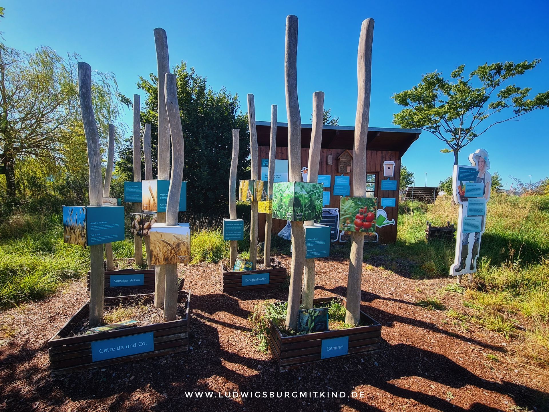 Familienausflug in die KLIMA ARENA Sinsheim:
Bildung trifft Erlebnis
Ein besonderer Tagesausflug für Familien aus Ludwigsburg, Heilbronn und Umgebung