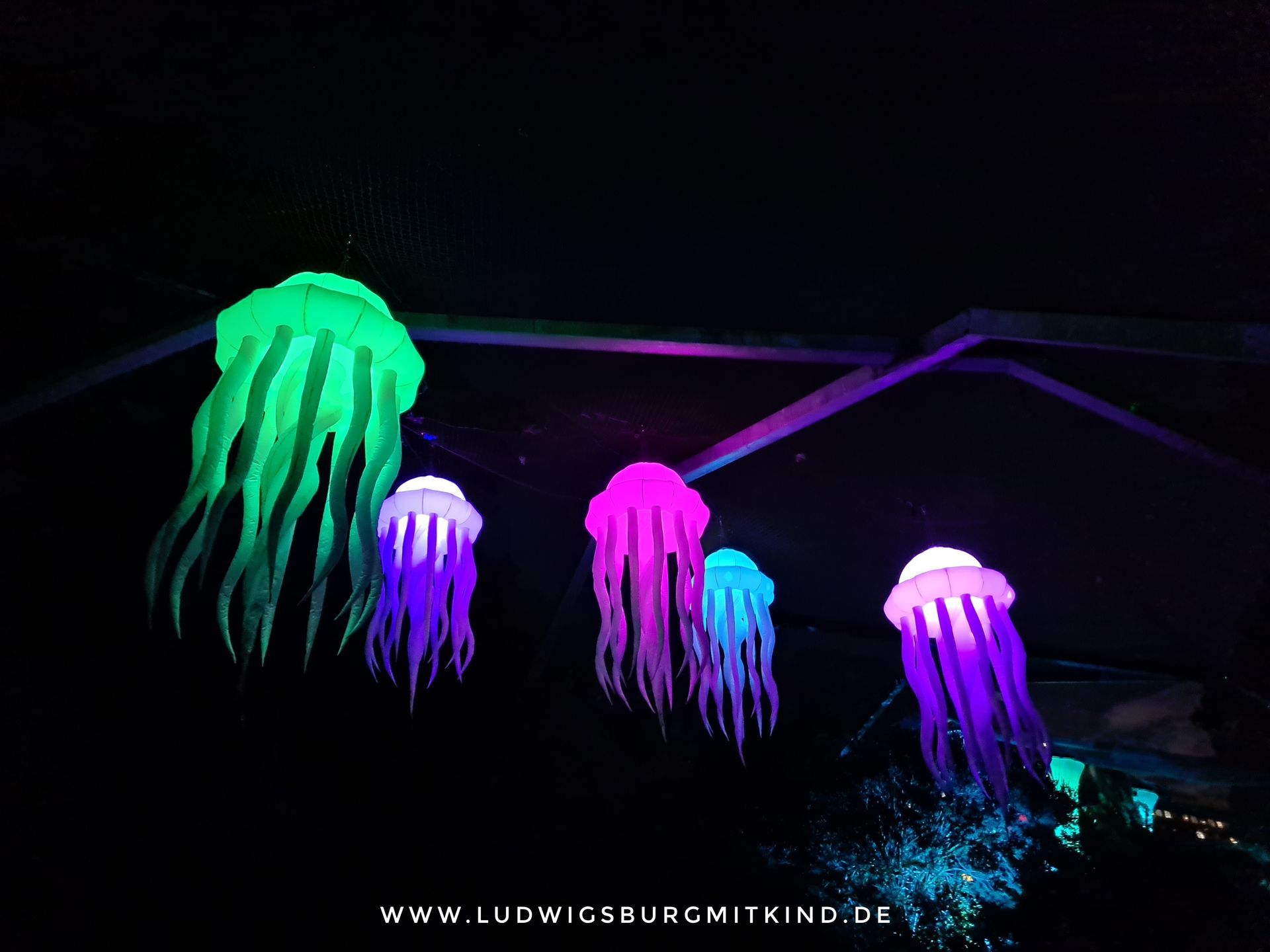 Leuchtende Traumpfade Ludwigsburg 2023