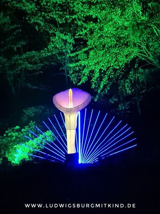 Leuchtende Traumpfade Ludwigsburg 2023