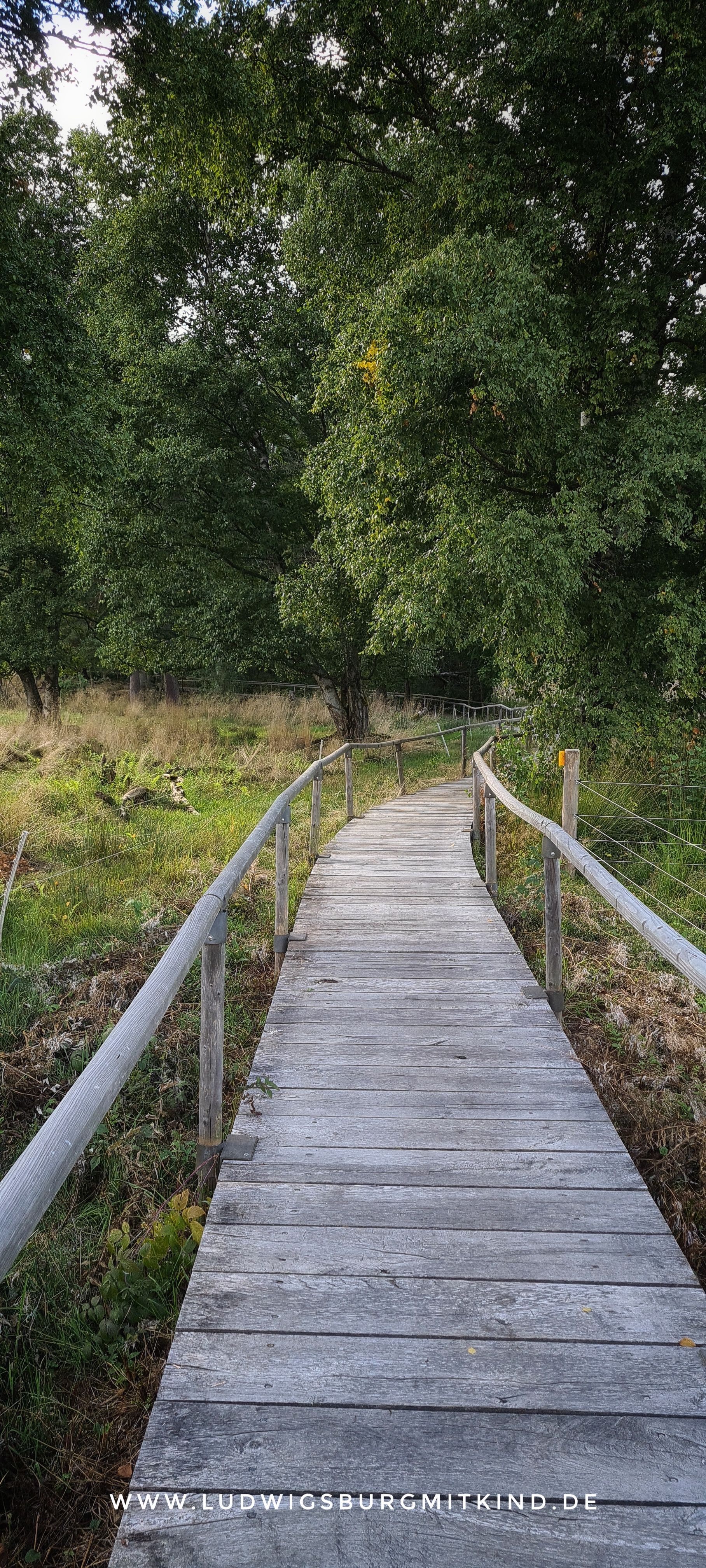 Alternative Indoor-Spielplatz Ludwigsburg
