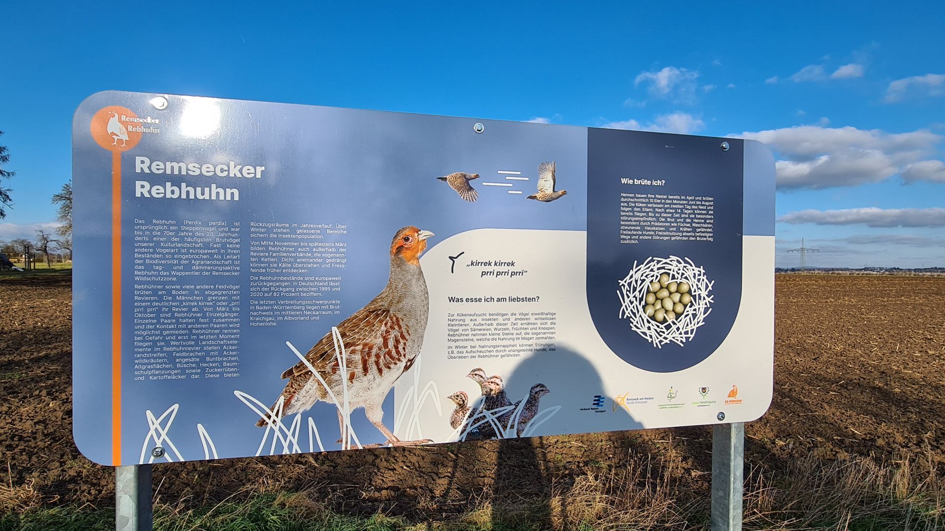 Wildschutzzone Remseck Rebhuhn Familienausflugsziel Wanderung Fahrradtour