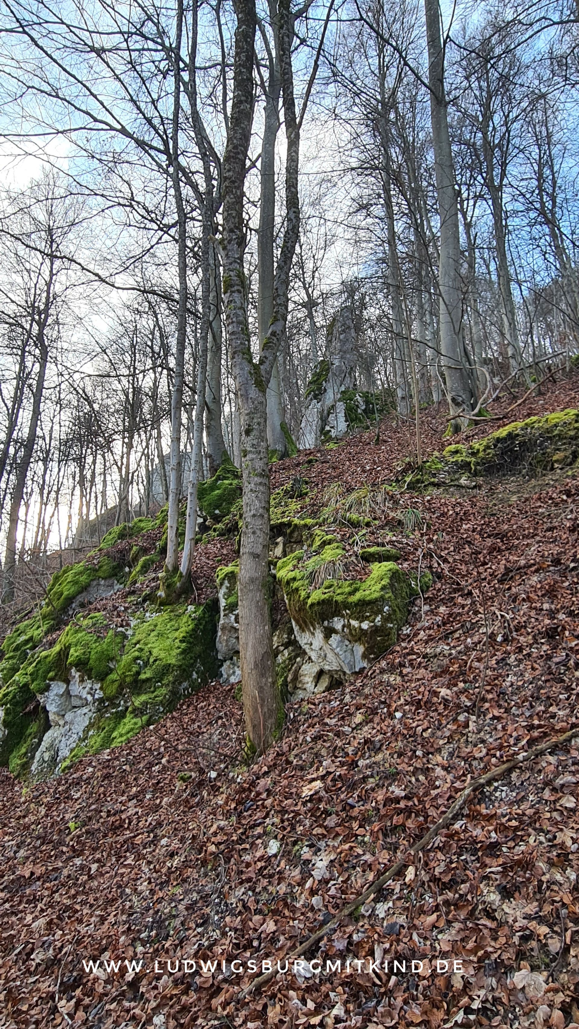Familienwanderung mit Kindern Schwäbische Alb