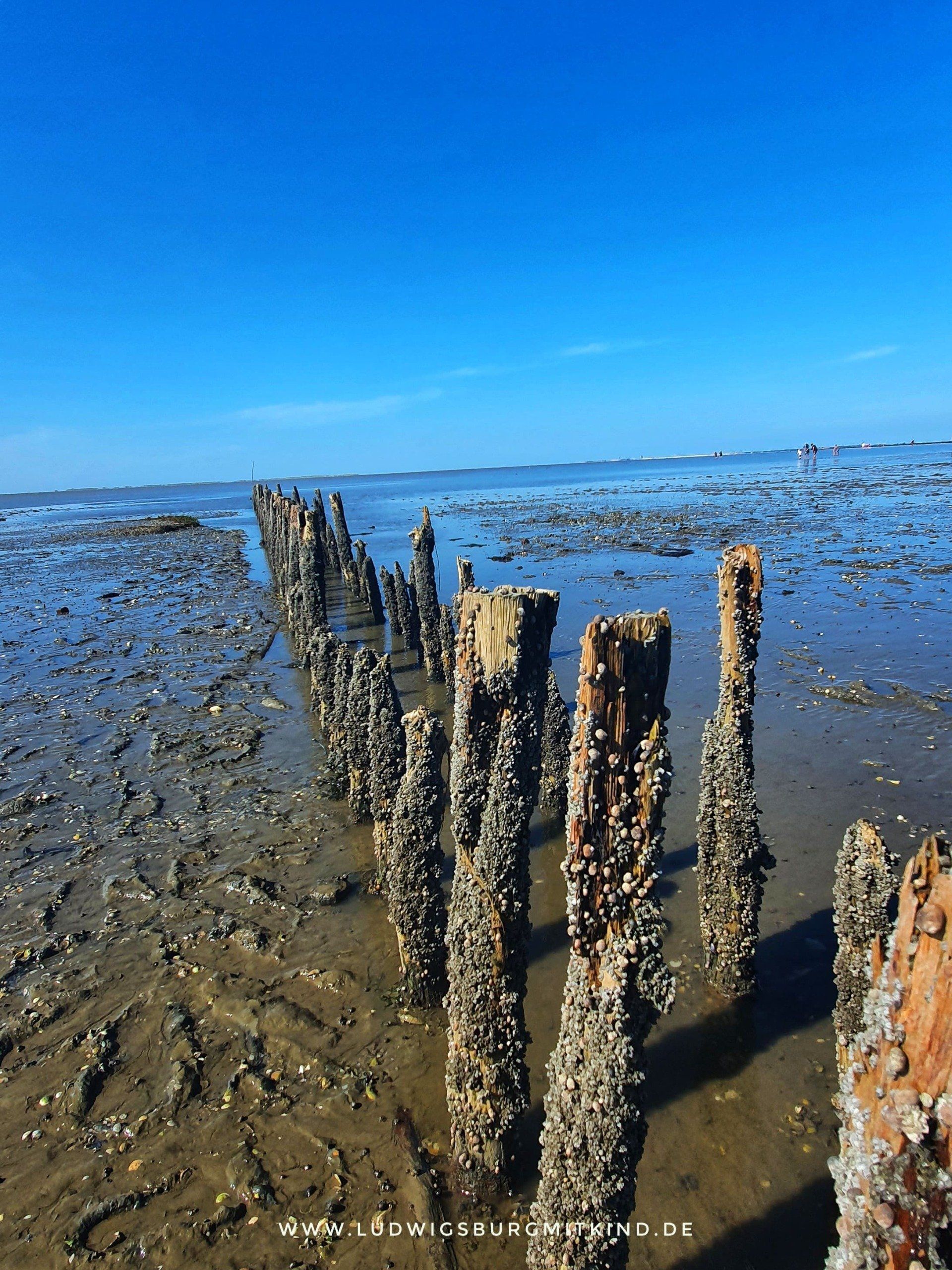 Urlaub mit Kindern an der Nordsee