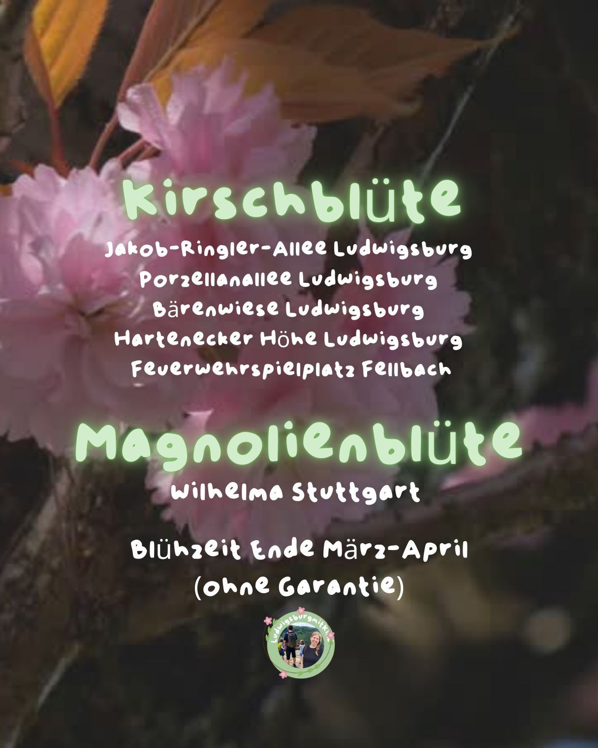 Die schönsten Ausflüge im März mit Kindern in Ludwigsburg und Stuttgart: Magnolienblüte, Märchengart
