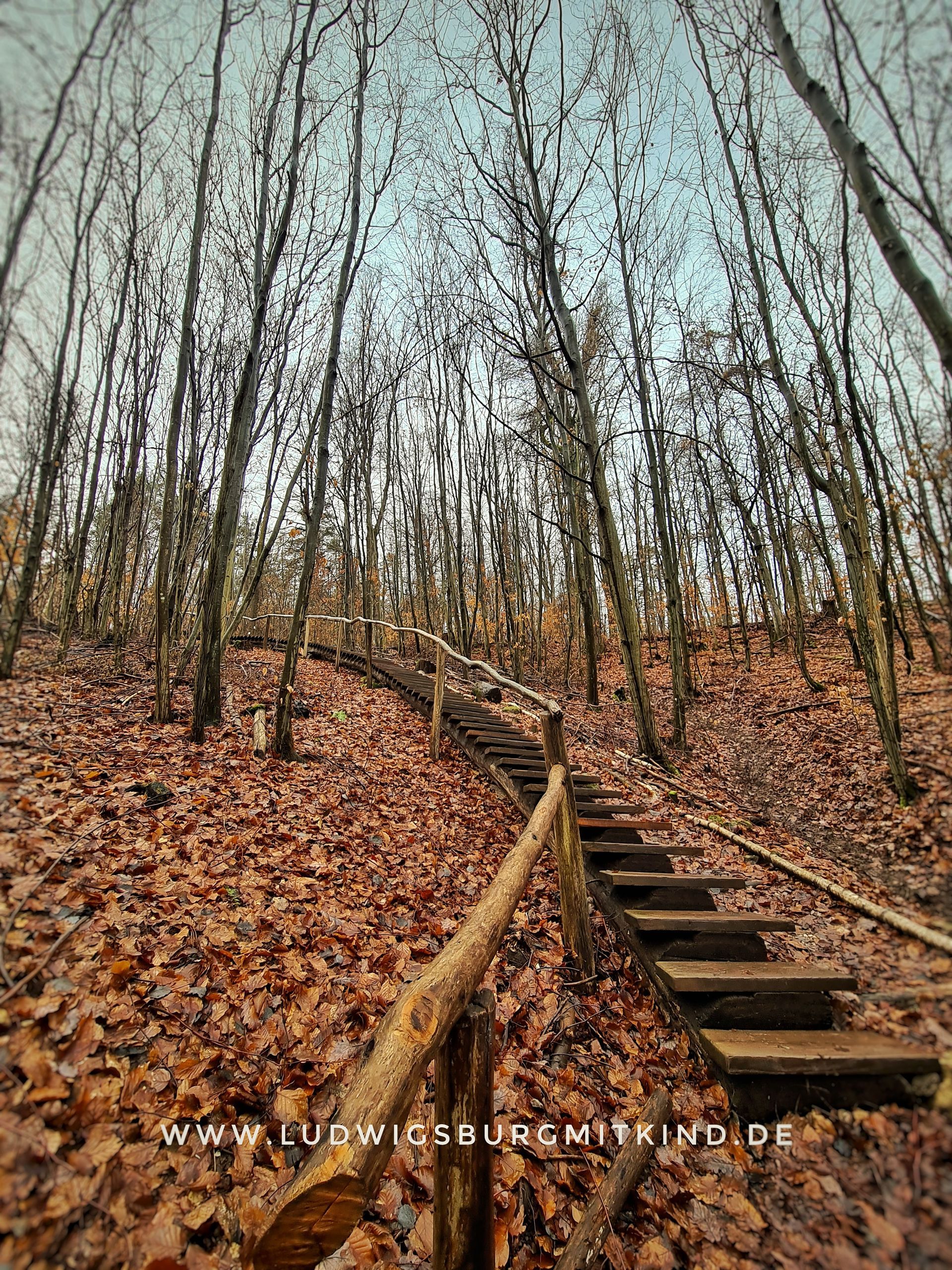 Familienwanderung Wichtelwald Weinstadt Familienausflugsziel im Remstal