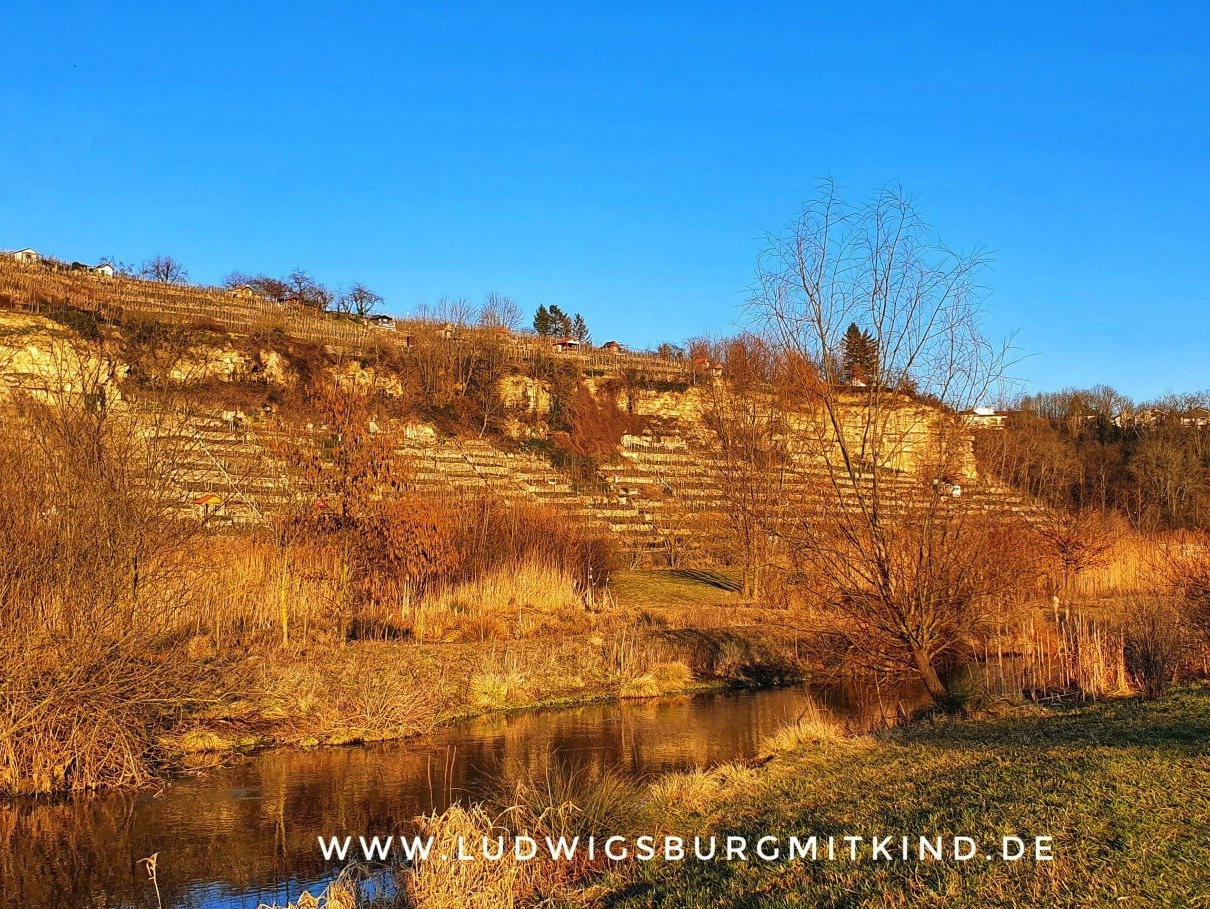 Zugwiesen Ludwigsburg Ausflugsziel Fahrradtour Familien Zugwiesen Ludwigsburg Ausflugsziel Fahrradtour Familien