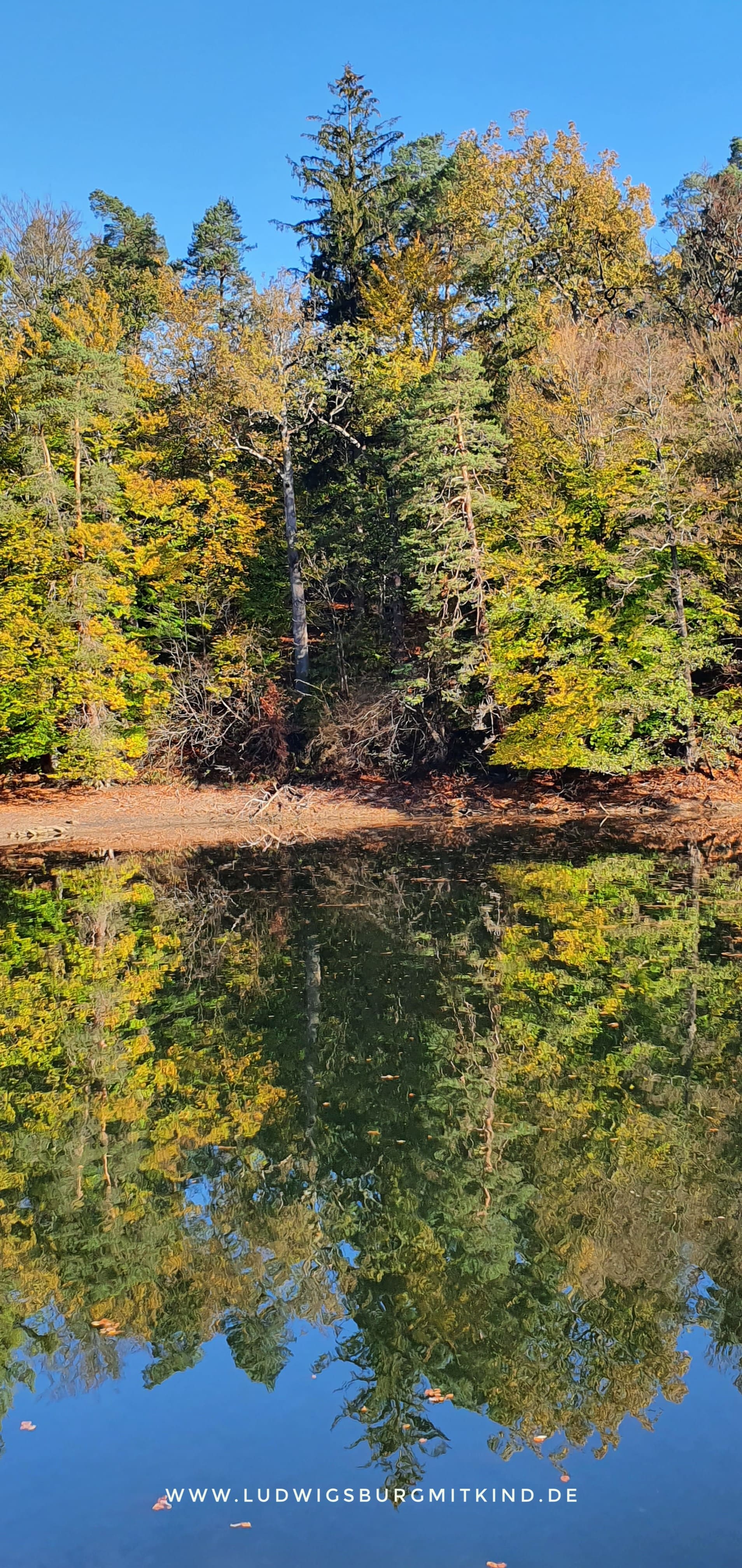 Bärensee und Bärenschlössle Ausflugsziel Stuttgart