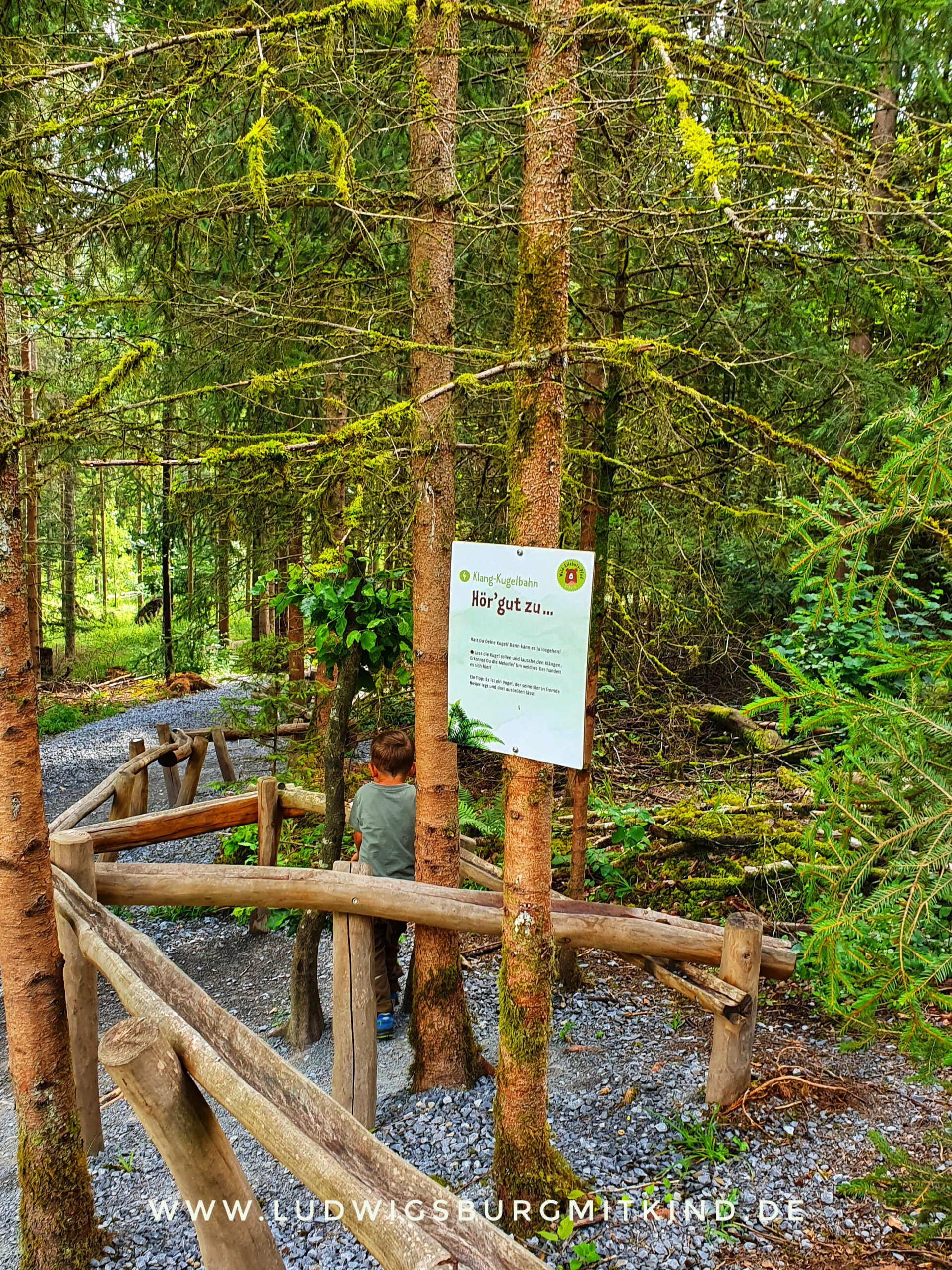 Bärenbachtal Urbär Remstal Walderlebnispfad Bärenbachtal Urbär Remstal Walderlebnispfad